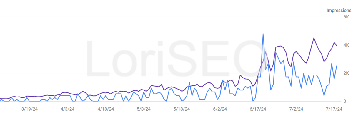 Google SEO Case Data-5